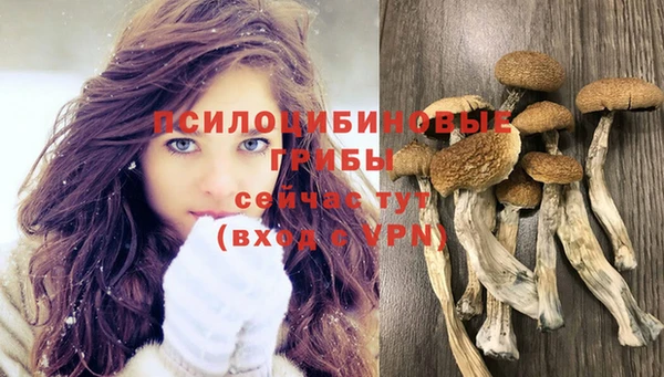 соль ск Покровск