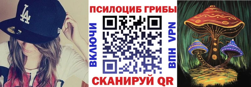 MEGA рабочий сайт  Кувандык  Галлюциногенные грибы MAGIC MUSHROOMS 